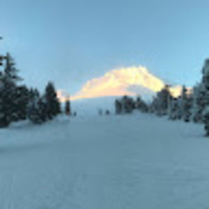 Meet your Posher, Gavin